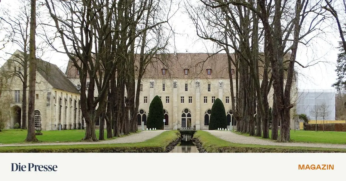 -le-de-France-Roissy-viel-Land-nahe-der-Stadt