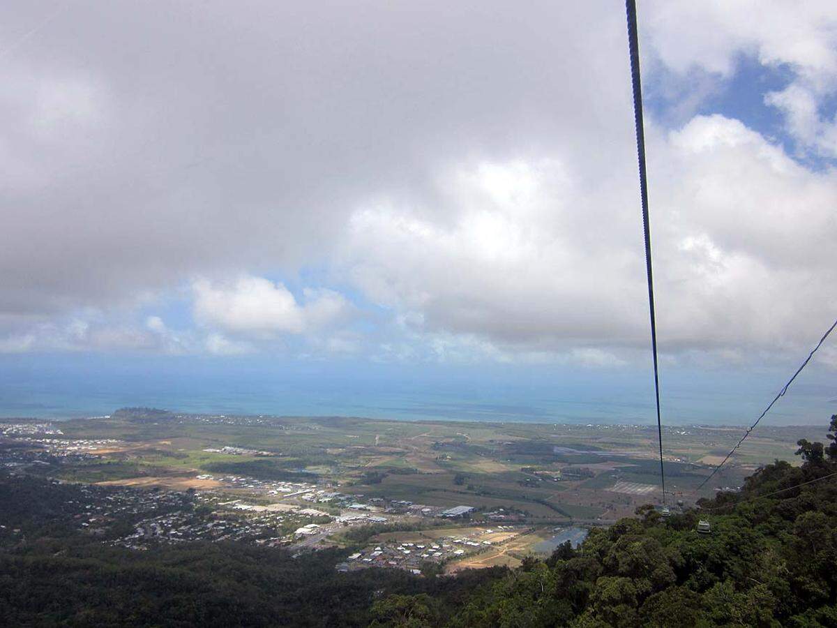 … bis zur anderen Seite: Blick über den Regenwald bis zum Riff, Cairns hält sich dezent im Hintergrund.