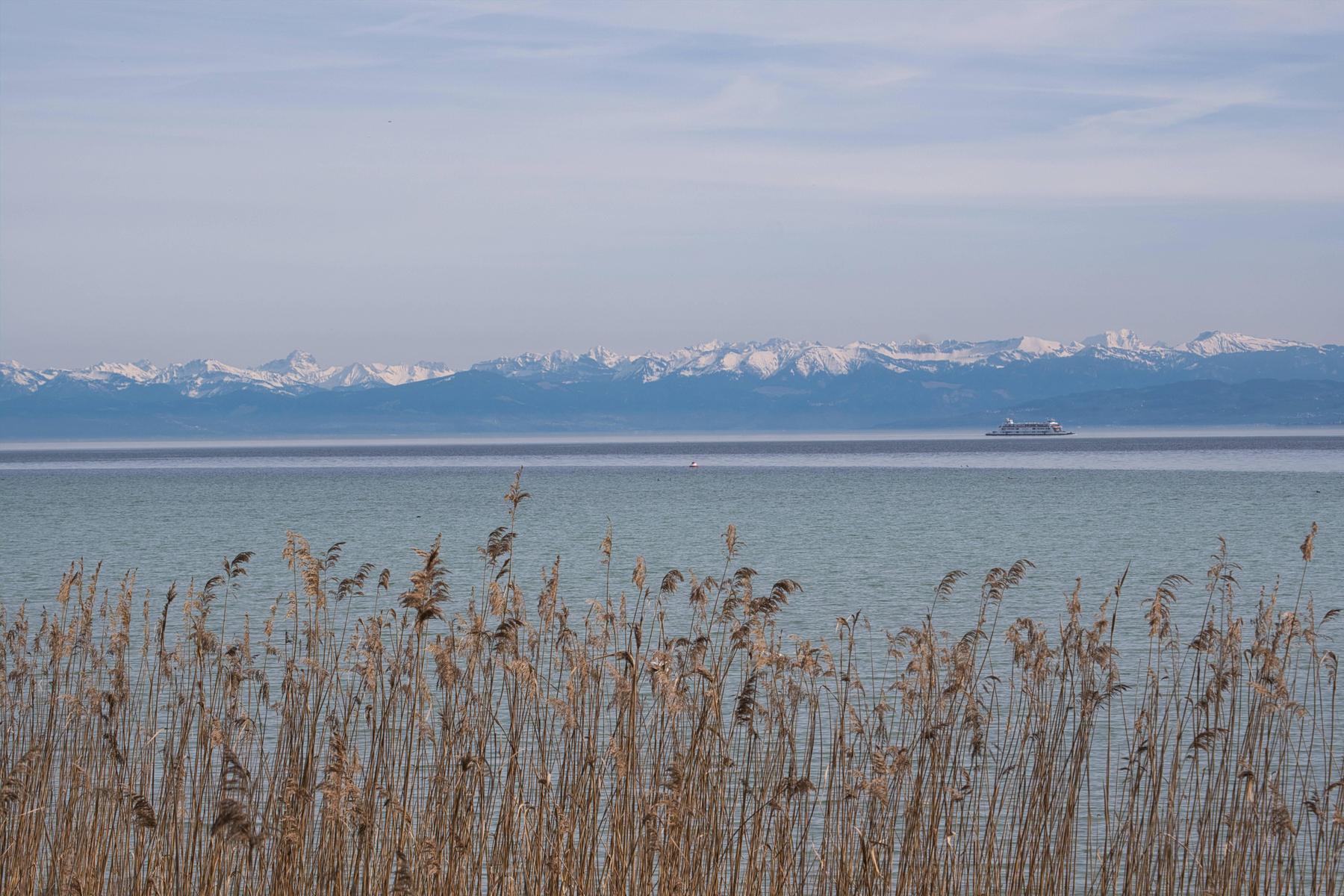 Falsche Kunsthändlerin hat serienweise Künstler betrogen