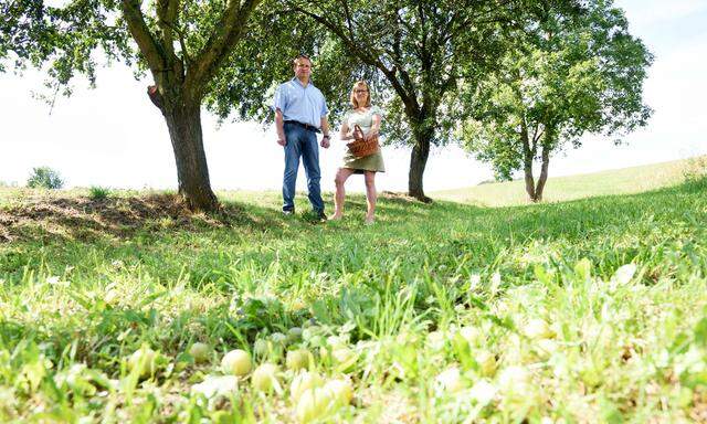 Hubert und Ottilie Hackl unter den Kriecherlbäumen – die viele Früchte abwerfen.