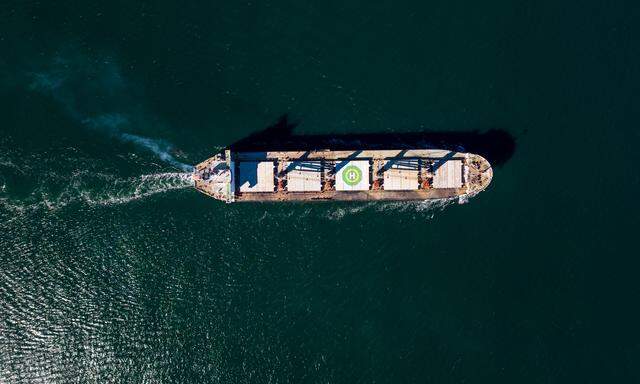Der Suezkanal als wichtige Ader des Welthandels fällt nach Angriffen von jemenitischen Huthi-Rebellen auf Schiffe im Roten Meer für Routen großer Reedereien vorerst aus. (Symbolbild)