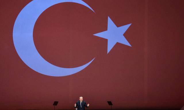 Der türkische Präsident Erdogan bei einer Rede in Istanbul.