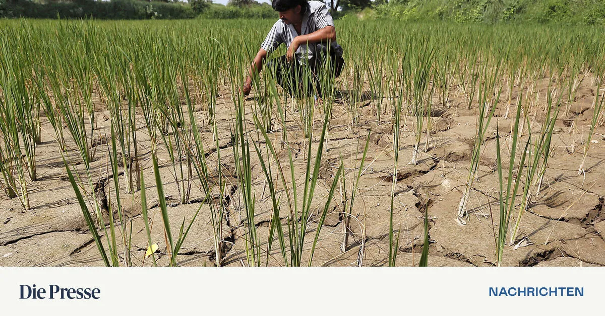 Wenn-der-Pazifik-zu-warm-wird-Spe-ku-la-tio-nen-um-Super-El-Ni-o-in-diesem-Jahr