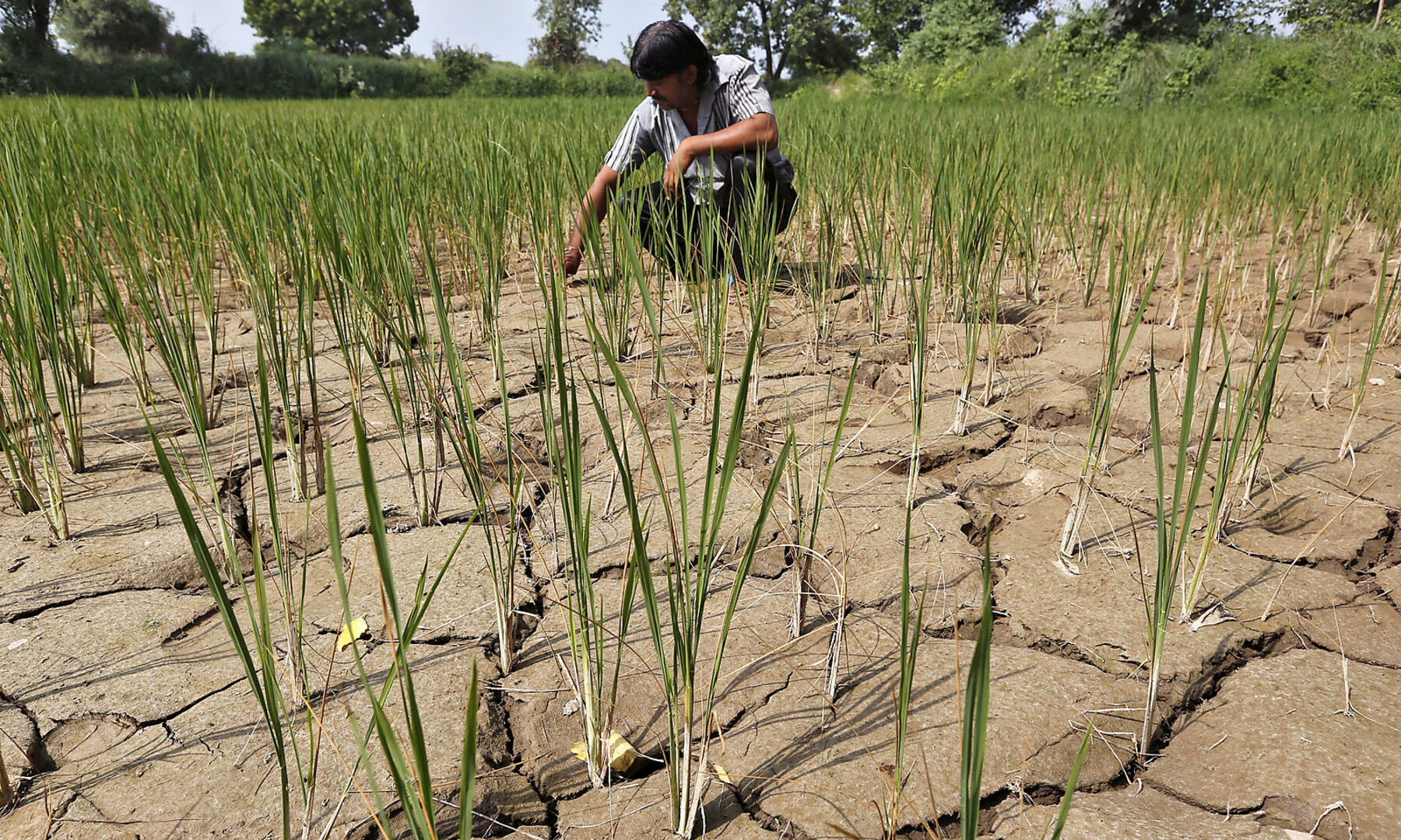 Wenn der Pazifik zu warm wird: Spe­ku­la­tio­nen um Super-El-Niño in diesem Jahr