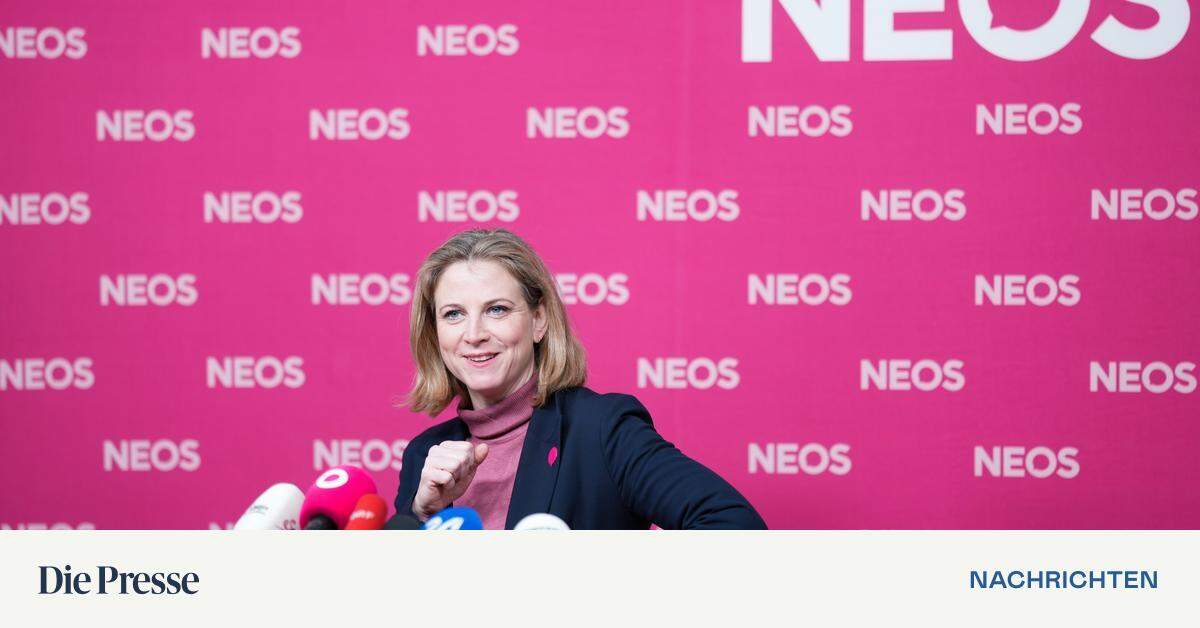 Neos Küren Meinl-Reisinger Zur Spitzenkandidatin | DiePresse.com