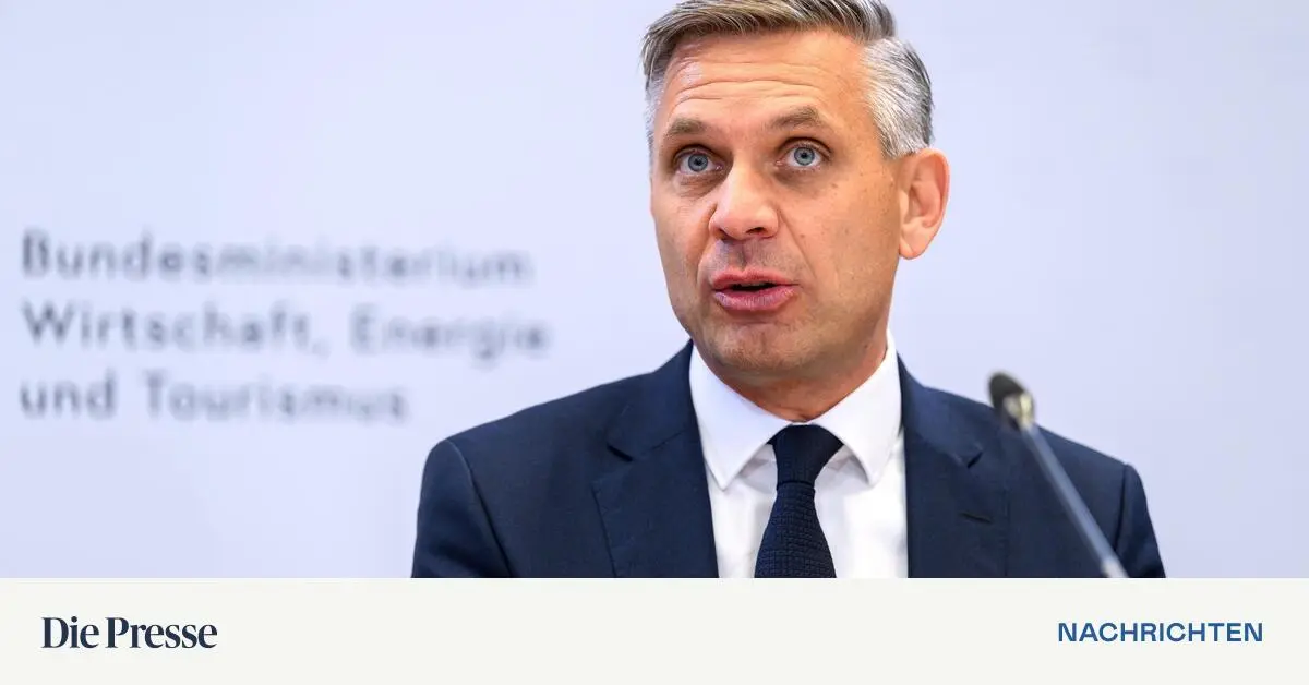 Hattmannsdorfer-will-sterreichs-Gasreserve-bis-2029-verl-ngern