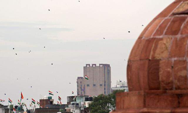 Drachenfliegen und Drachenkämpfe gehören in Indien rund um den Unabhängigkeitstag zur Tradition.