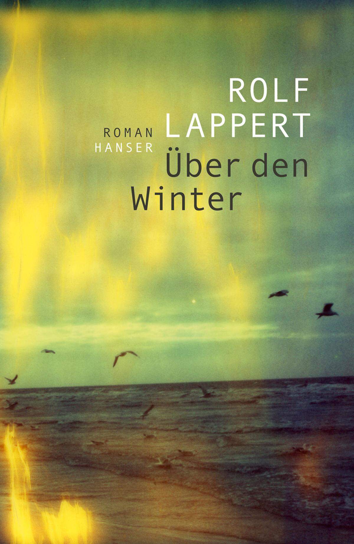 Im Sommer ist der Roman erschienen, und das Wetter wird noch länger brauchen, um seiner Eiseskälte zu entsprechen. Der ältere Künstler Lennart Salm kehrt widerwillig in seine Heimatstadt Hamburg zurück, weil seine älteste Schwester gestorben ist, und findet sich wieder mit der Familie konfrontiert, vor der er einst geflüchtet ist - dem Musterbruder und der alternden Hippie-Schwester, dem gebrechlichen Vater, der fernen, distanzierten Mutter. Lennart ist innerlich erstarrt, die Stimmung kalt und dunkel, trotzdem ist "Über den Winter" ein typischer Buchpreis-Favorit: problematisches Familienleben, mit ein bisschen Gesellschaftskritik. SIM