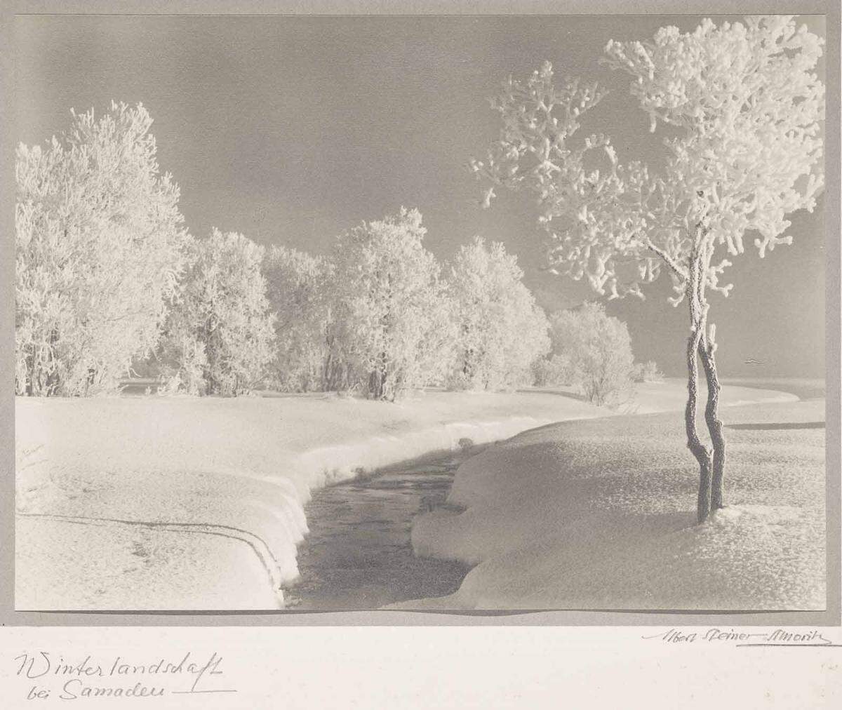 Steiners Landschaftsaufnahmen aus dem Engadin zählen zu den meistreproduzierten Fotos ihrer Zeit. Hier: Albert Steiner, Winterlandschaft bei Samedan