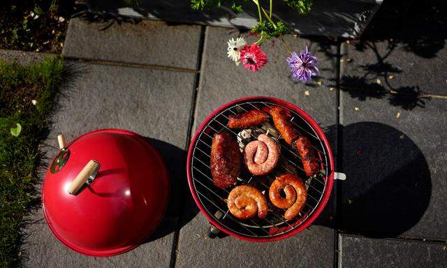 Grillen verboten: Wegen der Hitze und der dadurch entstandenen Brandgefahr ist in Wien das Grillen an öffentlichen Grillplätzen bis auf Weiteres verboten.