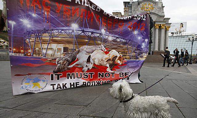 Proteste gegen Hundetoetungen in der Ukraine