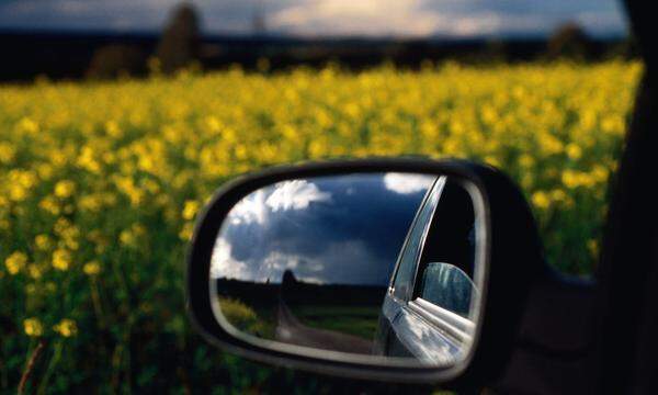 Rape field, rear view mirror.