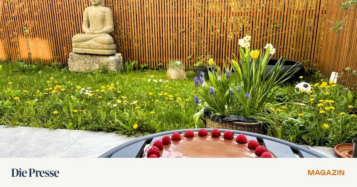 Donaustadt-Wo-sich-Buddha-Bollywood-und-Beeren-treffen-premium-