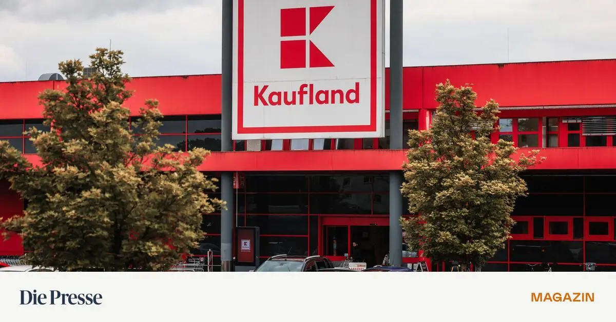 Kaufland-bl-st-zum-Angriff-auf-Amazon-und-Temu-premium-