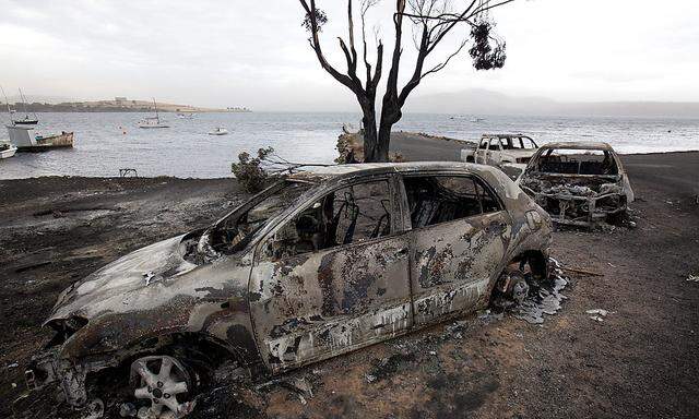 Auf der Insel Tasmanien wüten bereits zahlreiche Brände