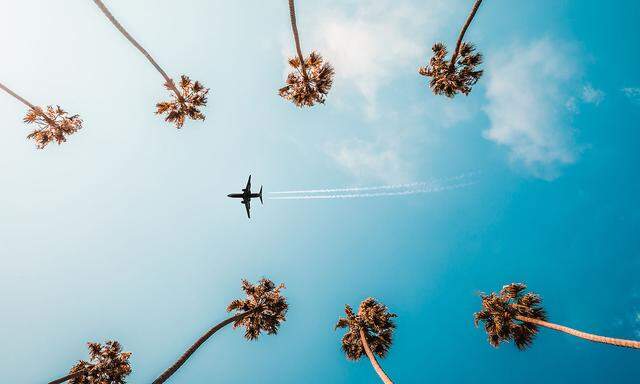 Directly Below Shot Of Trees And Airplane Against Sky