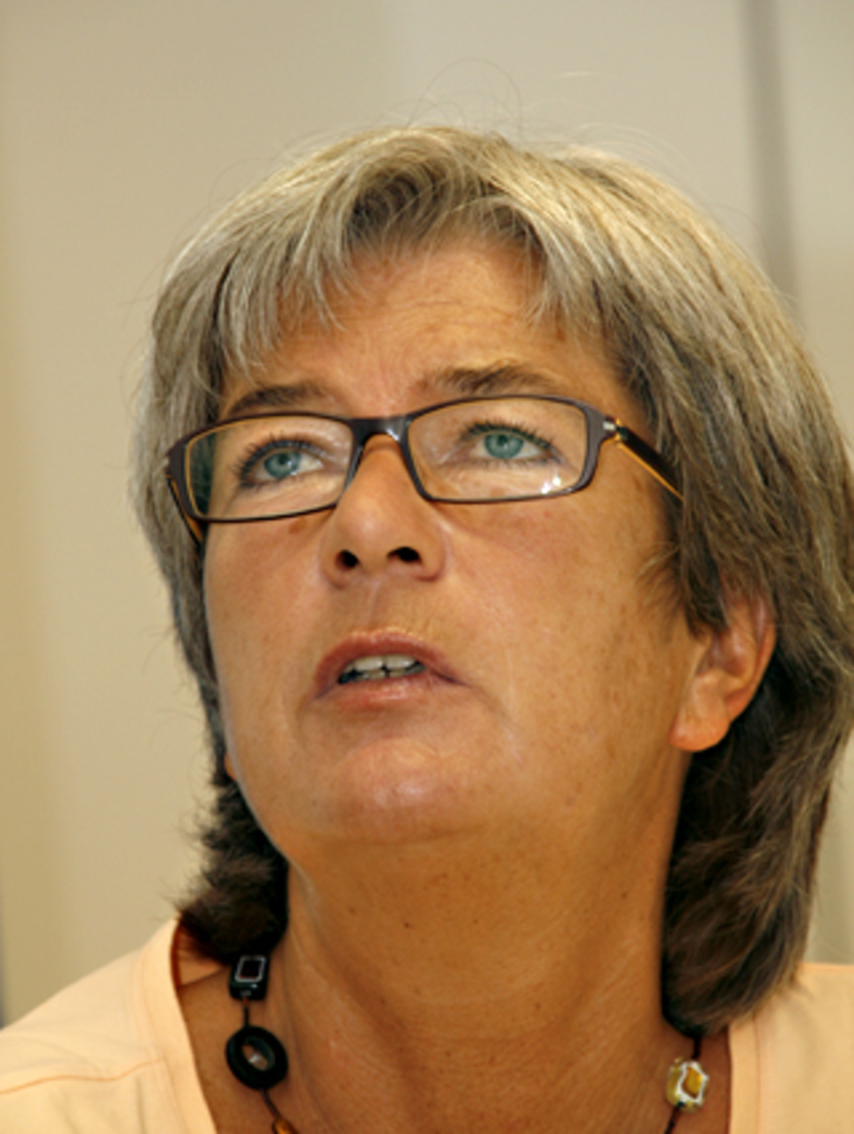 Schmidt erwiderte: "Haselsteiner baut nur dort, wo internationale Bestimmungen gelten und die Österreichische Kontrollbank die Finanzierungsgarantie übernimmt. Aber natürlich kann ein Bau deshalb trotzdem problematisch sein und ich verstehe manche Bedenken."