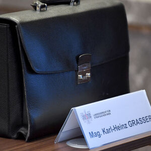 Ab 2. Juni müssen Karl-Heinz Grasser und Co. wieder in den Ring steigen. 