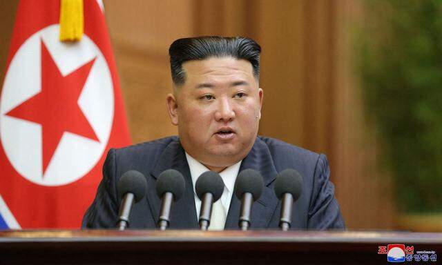 Machthaber Kim Jong-un