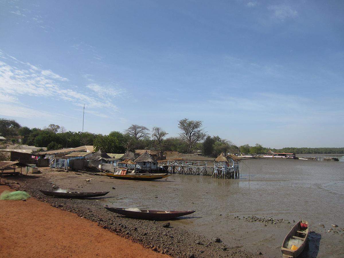 Der beschauliche Gambiafluss ist mit seinen 1100 Kilometern, aus Guinea kommend, der viertlängste Fluss Westafrikas.