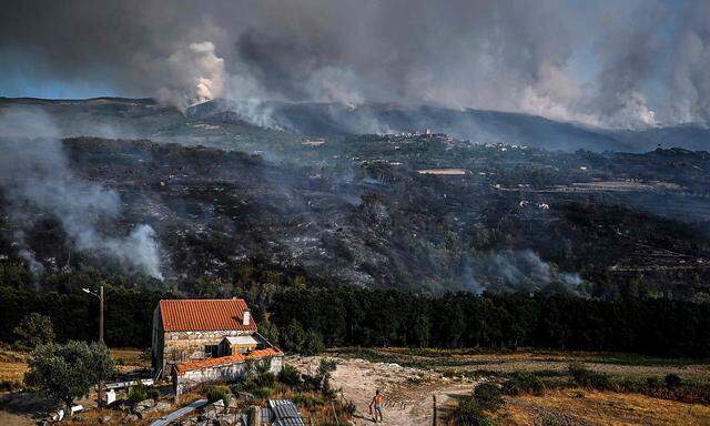 Ein Anwohner beobachtet die Ausbreitung eines Waldbrandes in Linhares, Portugal.