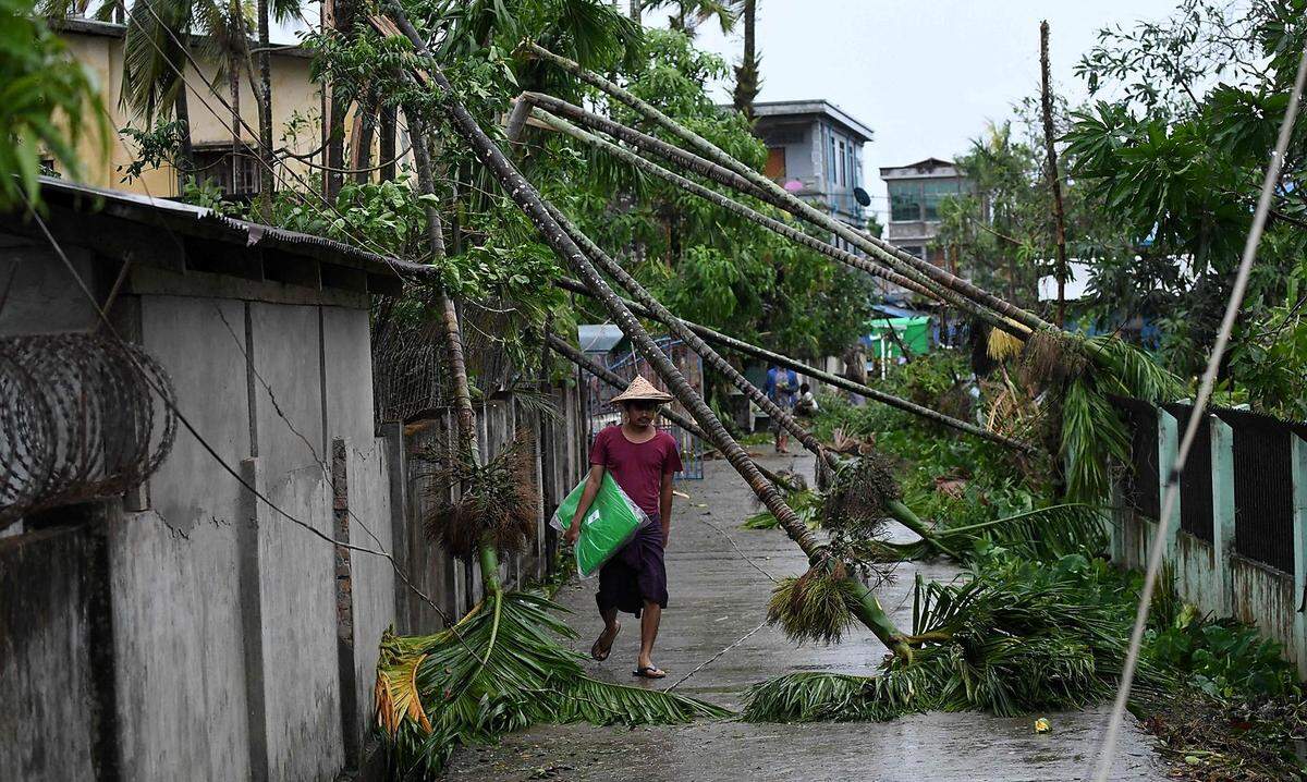 14. Mai. Ein Anwohner geht an umgestürzten Bäumen vorbei, nachdem der Zyklon "Mocha" mit Windgeschwindigkeiten von bis zu 210 Kilometern pro Stunde das Festland Myanmars erreichte. Mehr dazu.