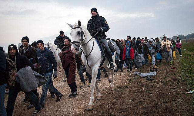 Ein slowenischer Polizist geleitet Flüchtlinge im slowenisch-kroatischen Grenzort Rigonce zu Busse nach Österreich.