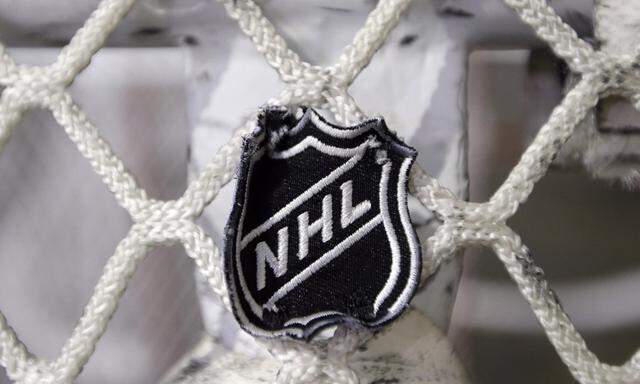 NHL-Wappen auf Tornetz