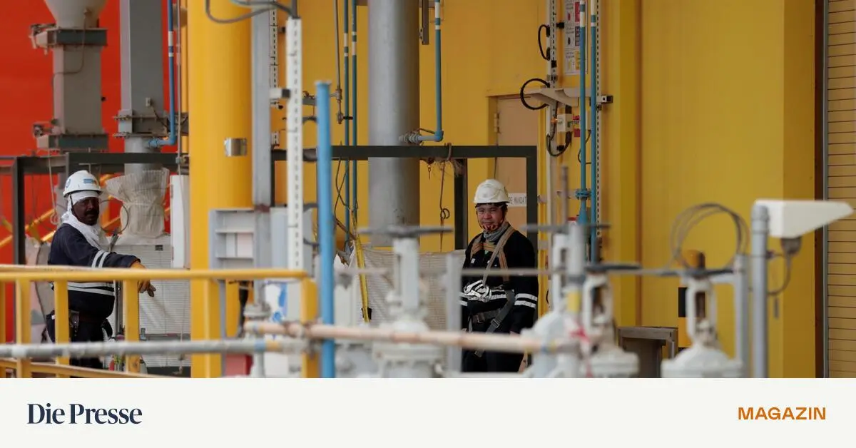 Mit-BGI-erh-lt-sterreich-einen-Weltkonzern-premium-