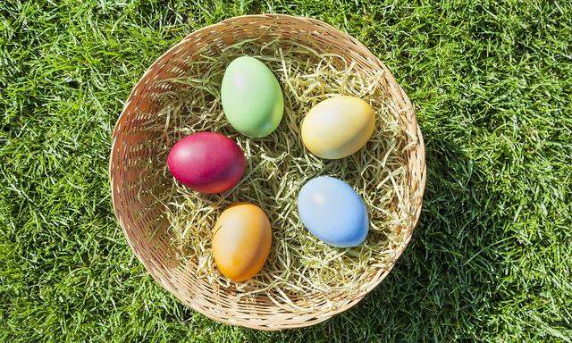 Ostereier im Korb auf einer Wiese *** Easter eggs in the basket on a meadow