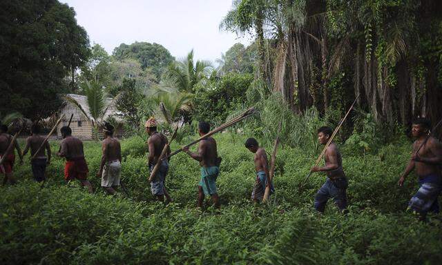 Munduruku Indian warriors arrive in the village of Katin at the end of a day of searching for illegal gold mines and miners in western Para state