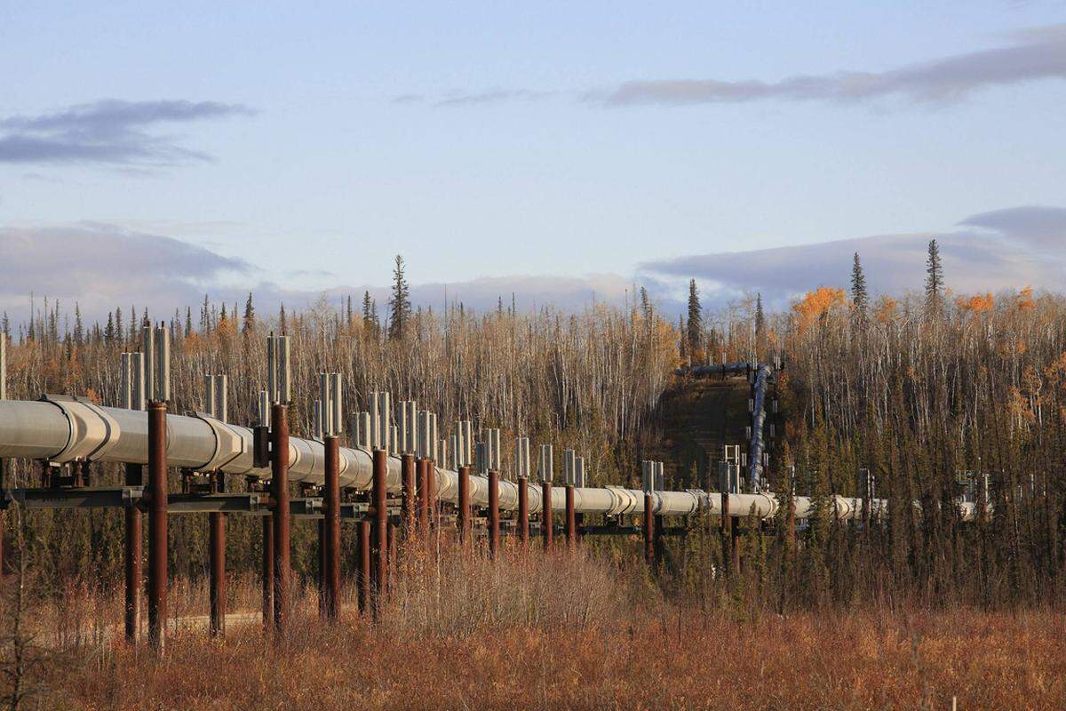 Der Highway wurde in den 1970er-Jahren als Wartungstrasse für die gewaltige Trans-Alaska-Pipeline gebaut und nach einem Ingenieur benannt.