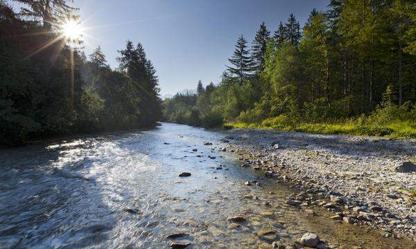 Nur 14 Prozent der Flüsse in Österreich gelten als ökologisch intakt. 