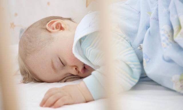 Kleinkind 9 Monate schl�ft im Gitterbett little boy sleeping BLWX099843 Copyright xblickwinkel
