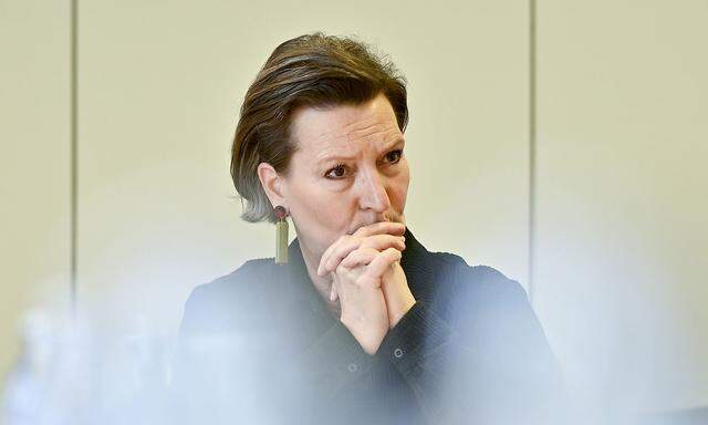 Bangt um ihre Nachfolge: Vorsitzende der SPÖ-Frauen, Gabriele Heinisch-Hosek.