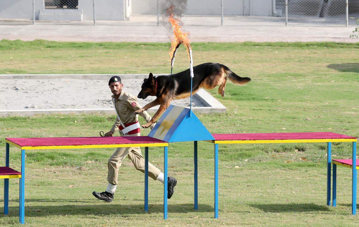 Danach stand ein Besuch im Islamabad Army Canine Centre auf dem Programm.