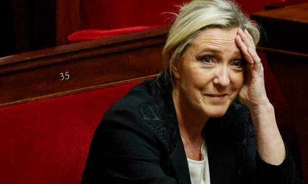 Rosige Aussichten: ID, die Fraktion der französischen Rechtspopulistin Marine Le Pen, dürfte nach der EU-Wahl im Juni die drittstärkste Gruppe im Europaparlament werden.