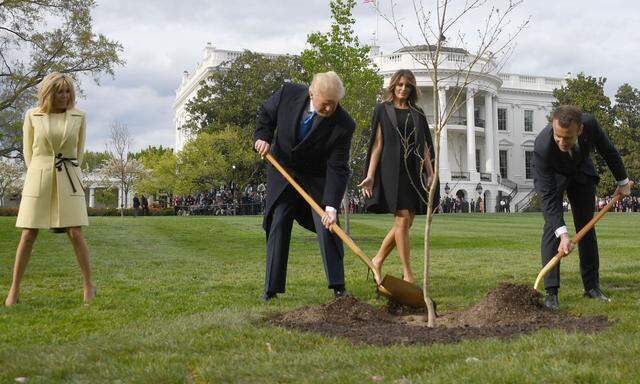 Trump und Macron im April 2018 beim Pflanzen der Eiche, mit dabei: die Präsidentengattinnen
