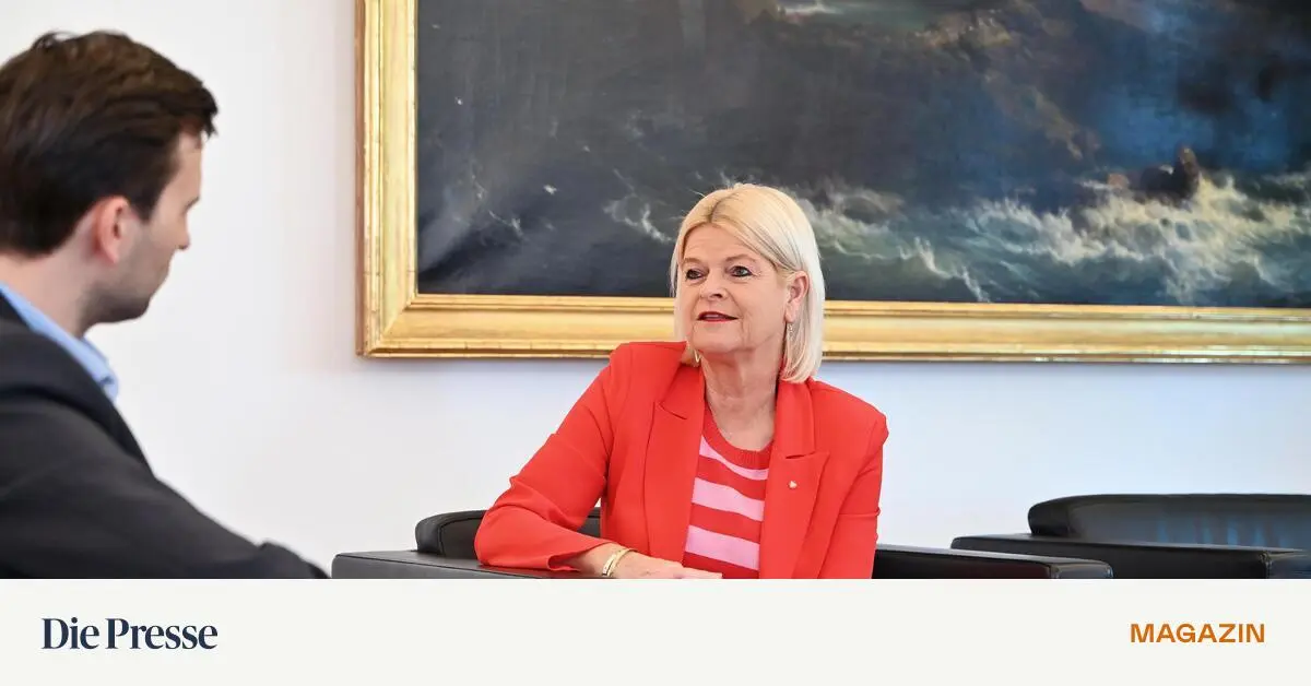 Verteidigungsministerin-Tanner-L-ngerer-Zivildienst-ist-unabdingbar-premium-