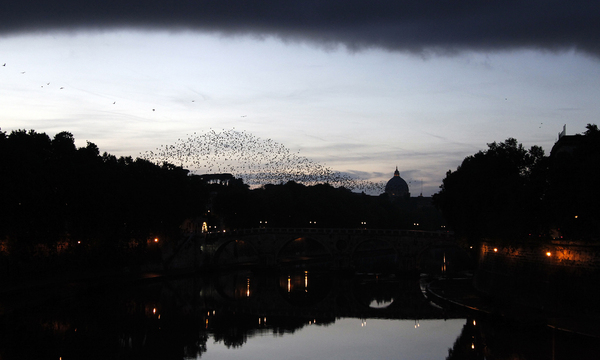 Die Regierung in Rom müsste dem Beispiel Belgiens folgen.