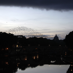 Die Regierung in Rom müsste dem Beispiel Belgiens folgen.