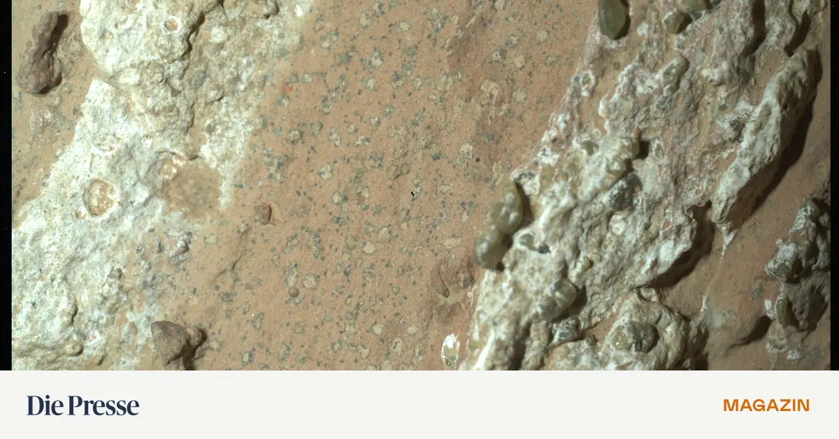 Mars-Waren-Mikroben-am-Werk-premium-