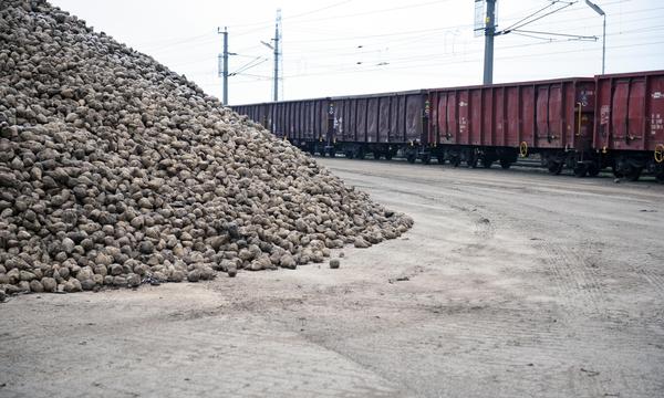 Importe von Zuckerrüben aus der Ukraine werden beschränkt.