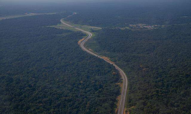 Betreiber solcher Waldprojekte sind Regierungen und lokale Gemeinden im Globalen Süden in vorwiegend tropischen Ökosystemen.