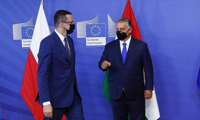 Der polnische Ministerpräsident Mateusz Morawiecki und sein ungarischer Amtskollege Viktor Orbán stehen bei der EU-Kommission besonders im Fokus.