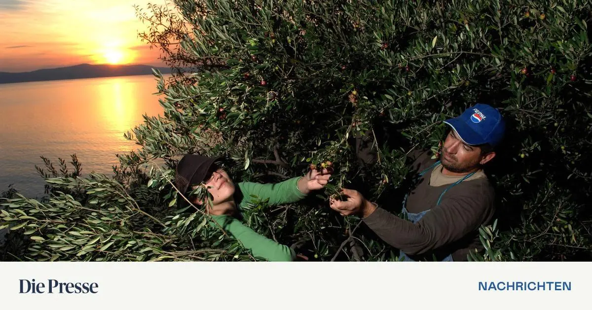 Immer-mehr-Sonne-aber-noch-kaum-genutzt