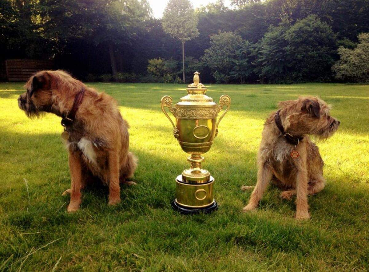 Maggie May ist der Hund von Tennis-Ass Andy Murray und Freundin Kim Sears.