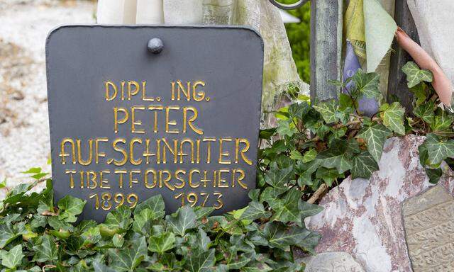 Grab von Peter Aufschnaiter