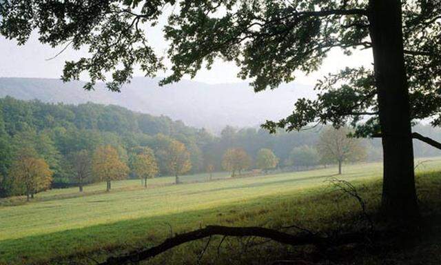 Lainzer Tiergarten Halali Wiens