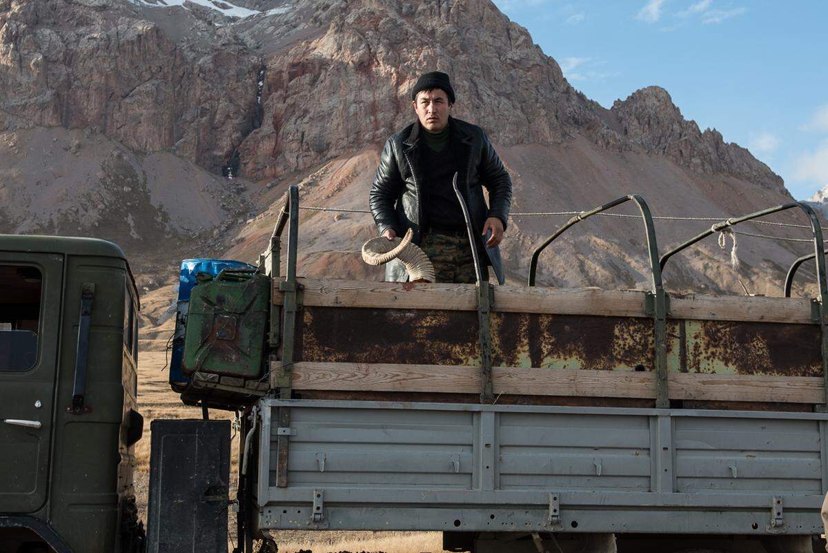 Auf diesem Lastwagen einer Jagdfirma werden die Wildhüter fündig: Das Horn verrät ein Marco-Polo-Schaf.Bild: Sara Sun Hee Schuh und Christian Martischius 